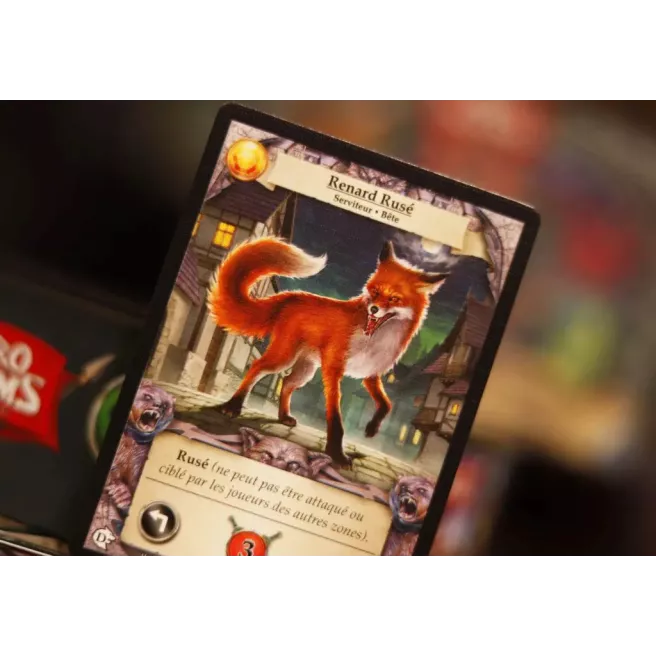 Hero Realms - Le Village Perdu