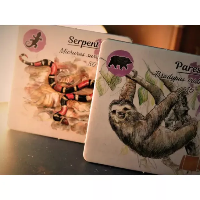 Sur les Traces de Darwin