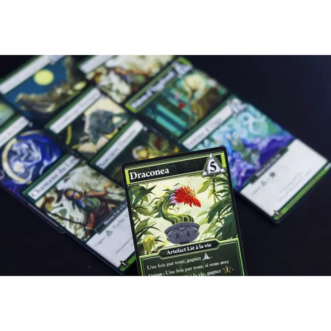 Ascension Edition Anniversaire