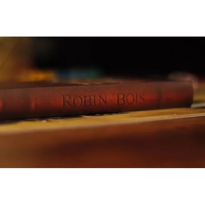 Les Aventures de Robin des Bois