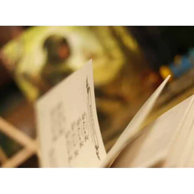 Les Aventures de Robin des Bois