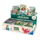 Lorcana - L'île d'Archazia - Display 24 Boosters