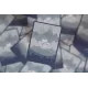 Régicide