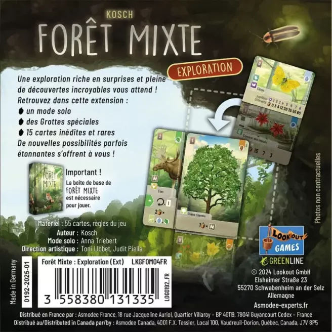 Forêt Mixte - Exploration