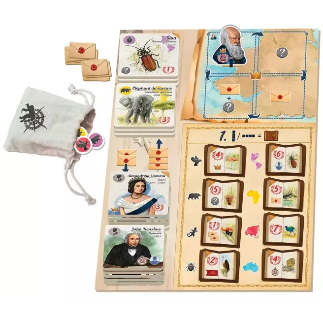 Sur les Traces de Darwin - Correspondances