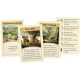 Catan : Barbares et Marchands - Extension 5 & 6 joueurs