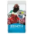 Zenith - Secret Agents