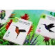Wingspan - Extension Amériques