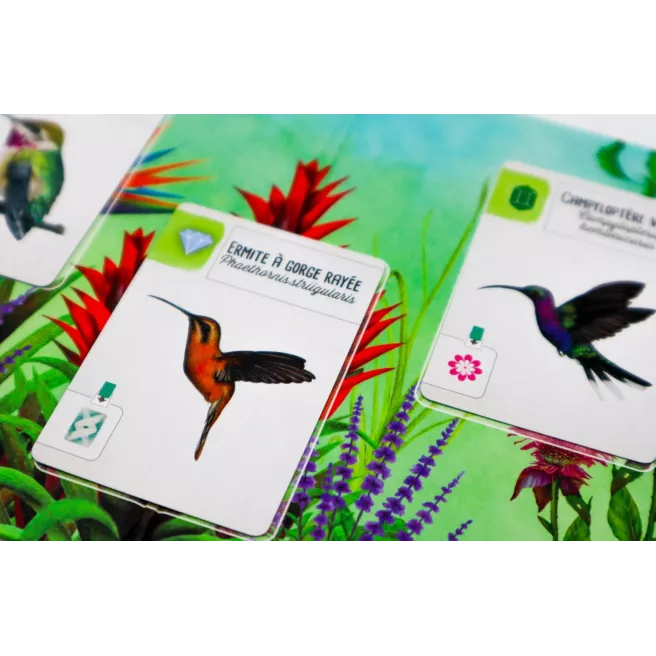 Wingspan - Extension Amériques