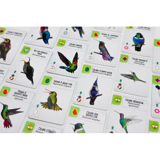 Wingspan - Extension Amériques
