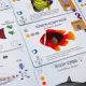 Finspan - Requins et Récifs