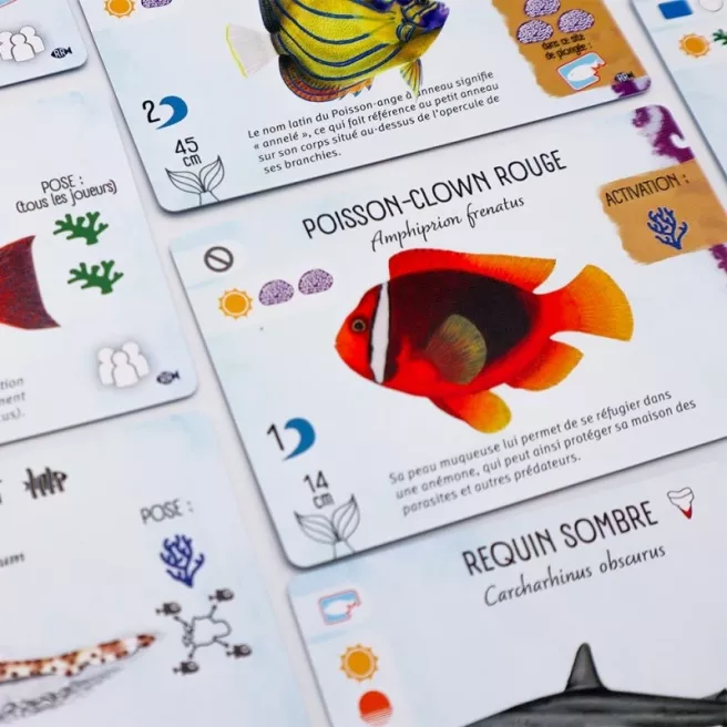 Finspan - Requins et Récifs