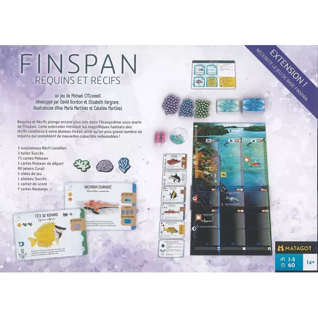 Finspan - Requins et Récifs