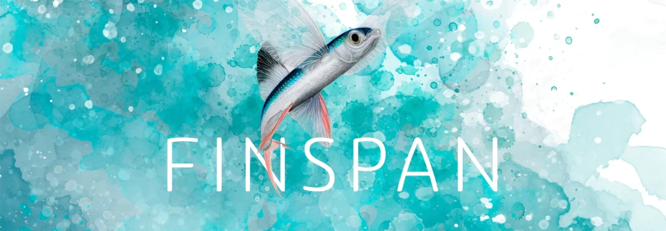 Finspan édité par Matagot
