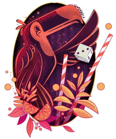 Logo du jeu Pina Coladice