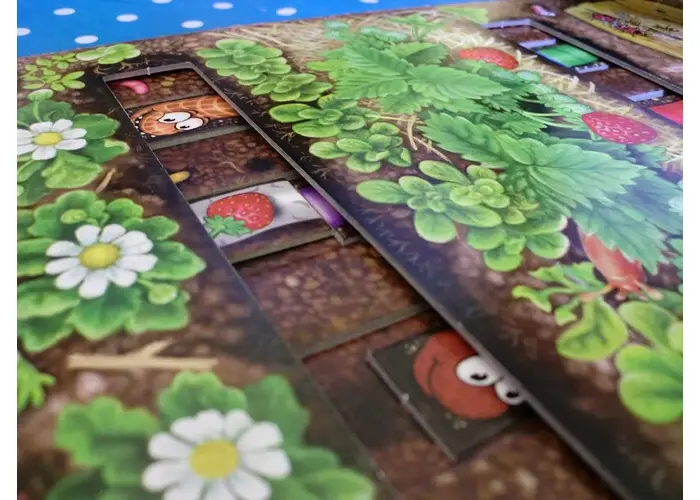 rallye-des-vers-de-terre 4