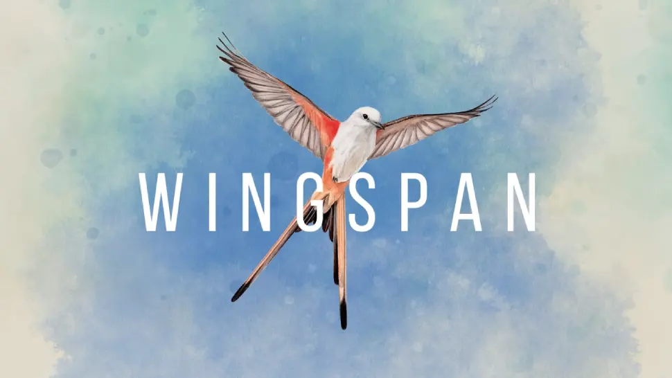 Oiseau de la boite wingspan